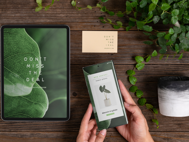 sustainable app design
